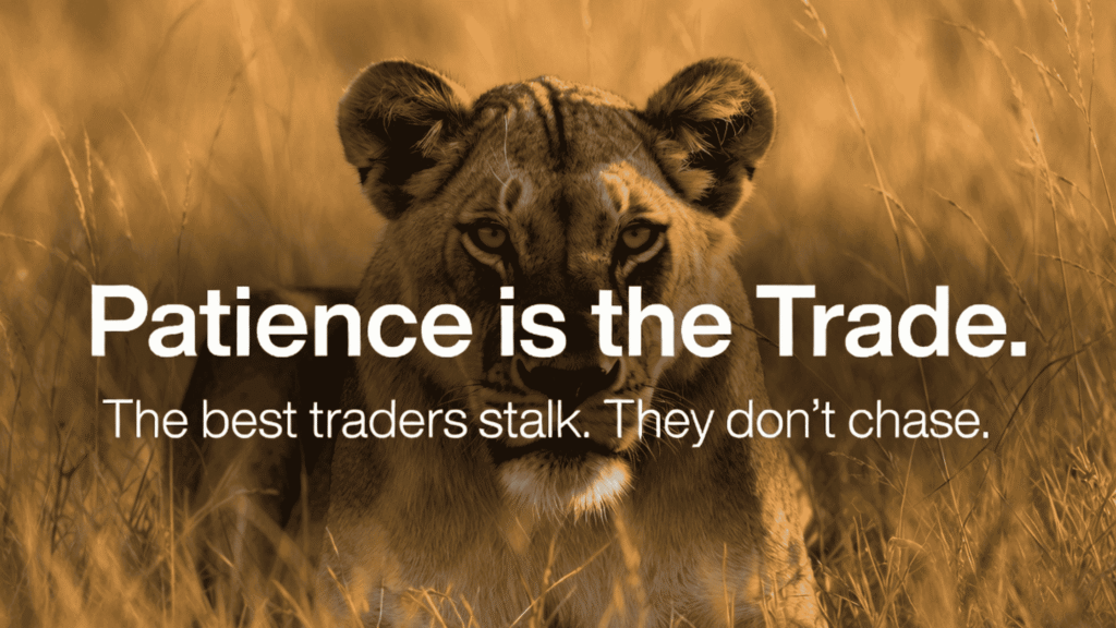 Lion stalking prey in golden grass representing trader psychology mental discipline and stalking entry points in trading